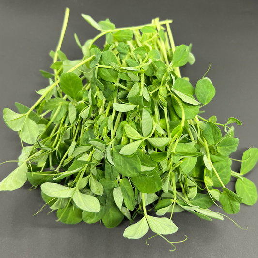 Pea Shoots